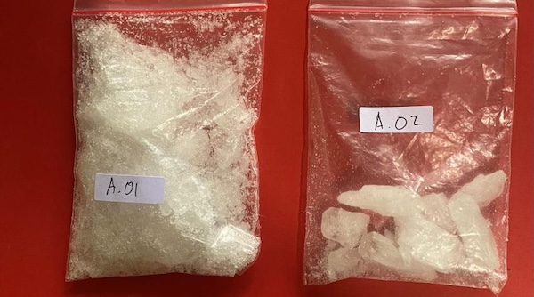 WhatsApp Image 2026 02 11 at 16.29.22 800x445