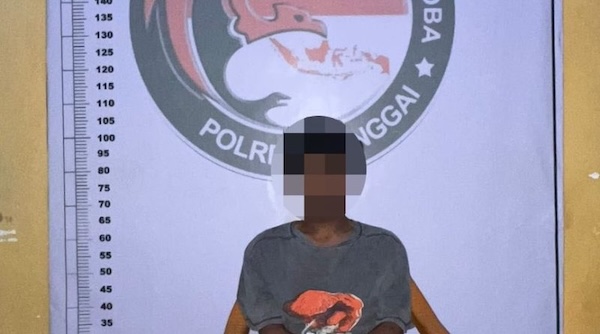 WhatsApp Image 2026 03 02 at 14.33.34 800x445