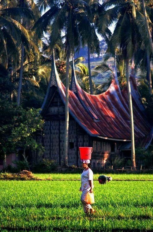 Eceed20efa017191633cf3d7934c110b 1