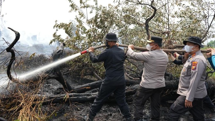 500 personel gabungan turun memadamkan api di kerumutan pelalawan 1787568723345