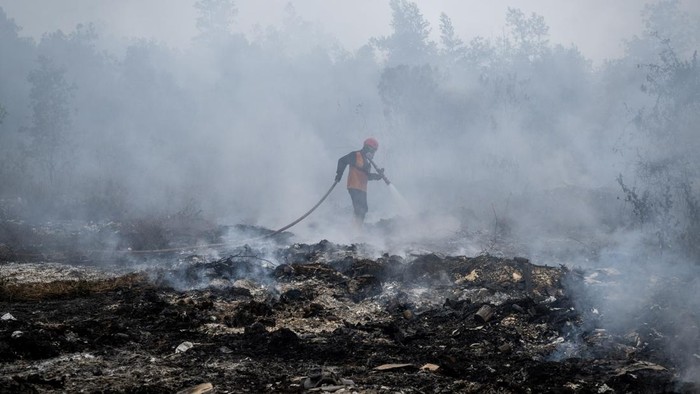 Lahan gambut banjar terbakar petugas berjibaku jinakkan api 1788405575413